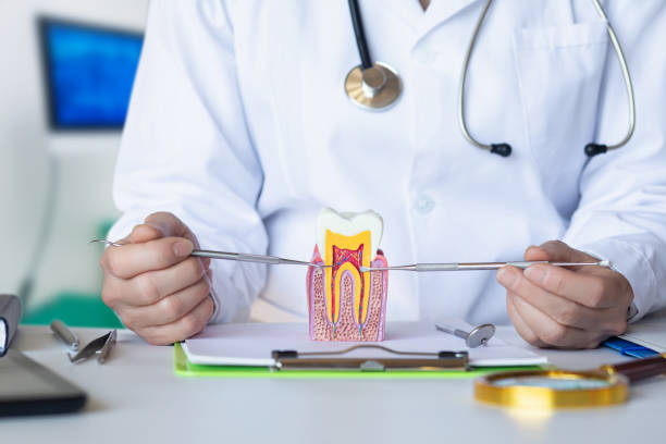 Best Emergency Dental Care for Trauma or Injury in Fulton, MS